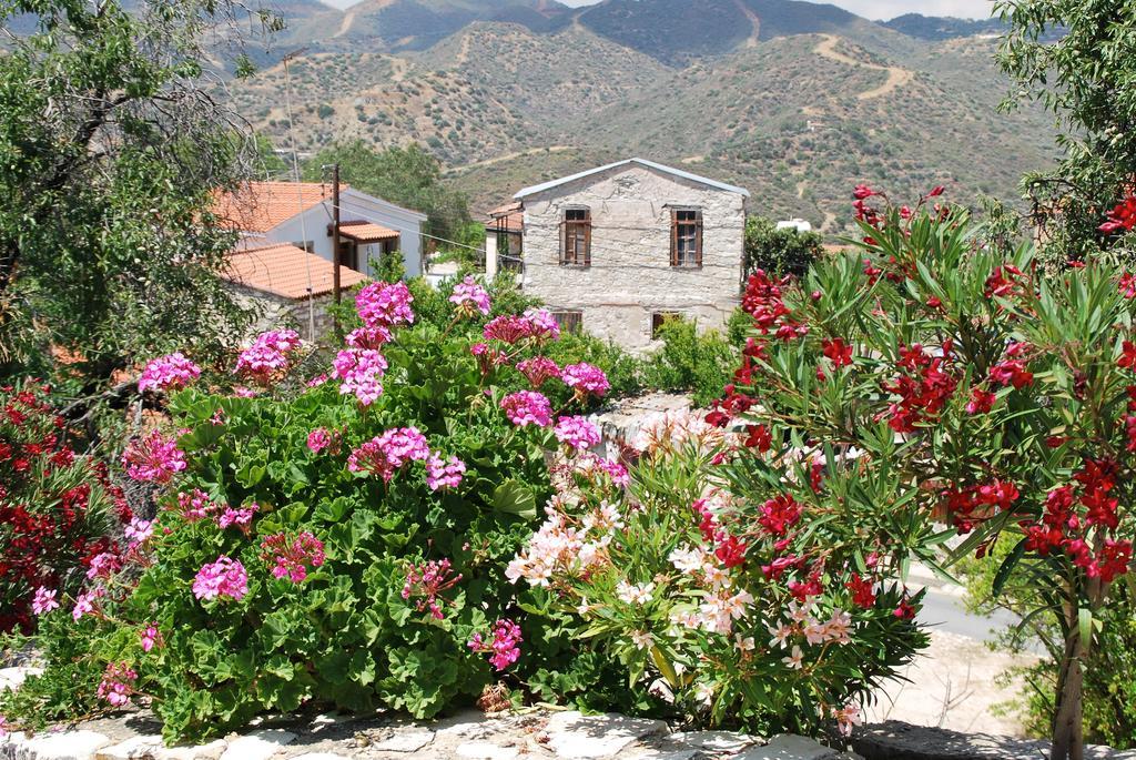 Vavla Rustic Retreat Guest House Eksteriør bilde